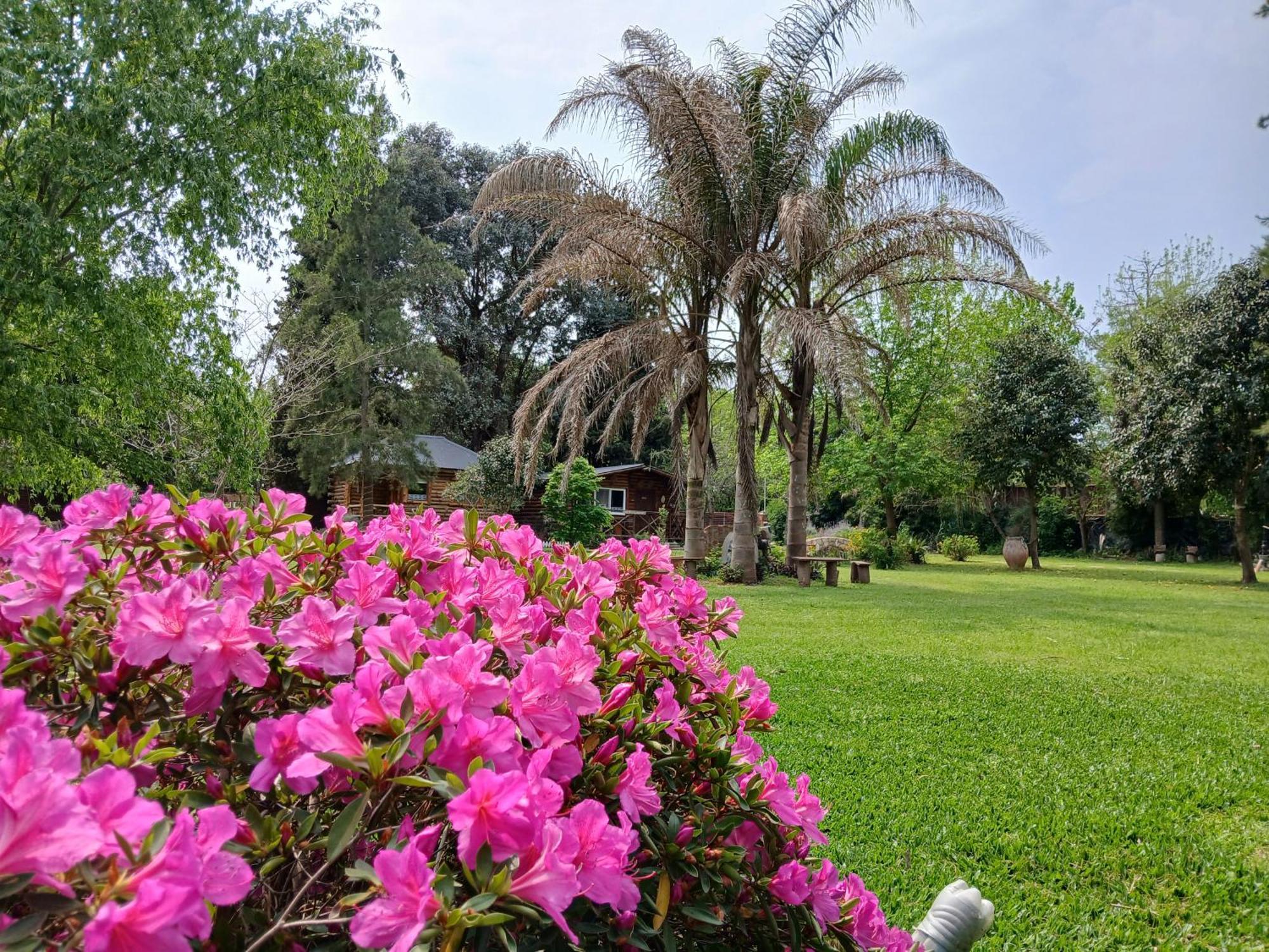 Pualy Resort & Spa Belén de Escobar Eksteriør bilde